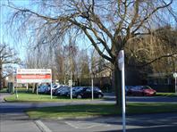 Sample Photo from Album Number 56