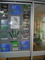 Sample Photo from Album Number 59